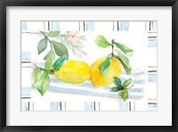 Spring Citron Fine Art Print