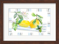 Spring Citron Fine Art Print