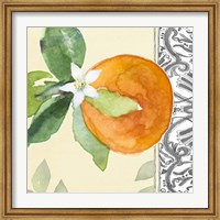 Orange Blossoms I Fine Art Print