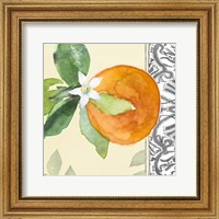 Orange Blossoms I Fine Art Print