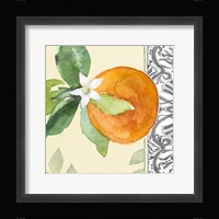 Orange Blossoms I Framed Print