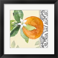 Orange Blossoms I Framed Print