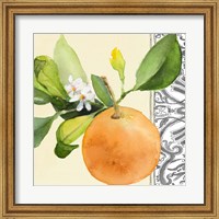 Orange Blossoms II Fine Art Print