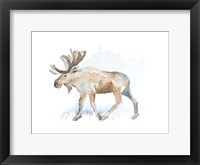 Watercolor Moose Fine Art Print