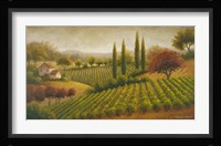 Vineyard In The Sun I Framed Print