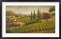 Vineyard In The Sun I Framed Print