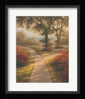 Morning Light II Framed Print