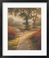 Morning Light II Framed Print