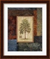 Eucalyptus Tree I Fine Art Print