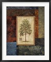 Eucalyptus Tree I Framed Print