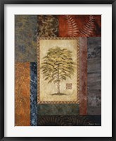 Eucalyptus Tree II Framed Print