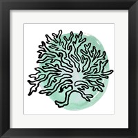 Coastal Contours IV Framed Print