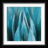 Aloe Moon Fine Art Print