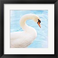 White Swan Fine Art Print