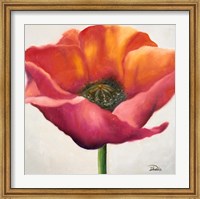 Poppy Flower I Fine Art Print