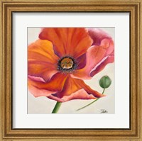 Poppy Flower II Fine Art Print