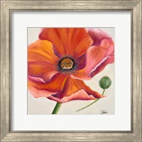 Poppy Flower II Fine Art Print