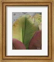 Butterfly Palm I Fine Art Print