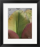 Butterfly Palm I Fine Art Print