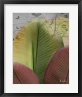 Butterfly Palm I Framed Print