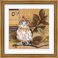 Little Owls I Fine Art Print