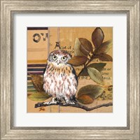 Little Owls I Fine Art Print