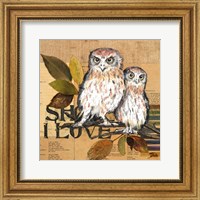 Little Owls II Fine Art Print