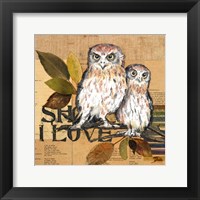 Little Owls II Framed Print
