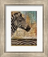 Madagascar Safari with Blue II (Zebra) Fine Art Print