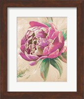Beautiful Bouquet of Peonies in Pink II Fine Art Print