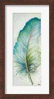 Watercolor Feather IV Fine Art Print
