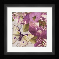 Beautiful Peonies in Paris IV Framed Print