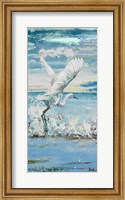 Great Blue Egret I Fine Art Print