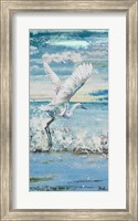 Great Blue Egret I Fine Art Print