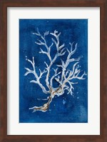 White Corals I Fine Art Print