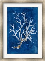 White Corals I Fine Art Print