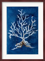 White Corals II Fine Art Print
