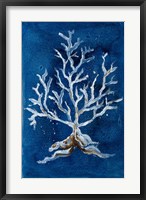 White Corals II Fine Art Print