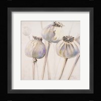 Poppy Seeds I Fine Art Print