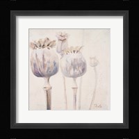 Poppy Seeds II Fine Art Print