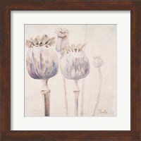 Poppy Seeds II Fine Art Print