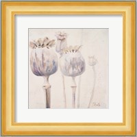 Poppy Seeds II Fine Art Print