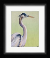Blue Heron on Green I Fine Art Print