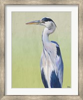 Blue Heron on Green II Fine Art Print