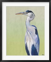 Blue Heron on Green II Fine Art Print