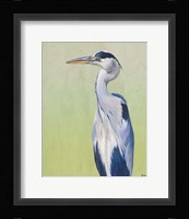 Blue Heron on Green II Fine Art Print