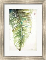 Watercolor Plantain Leaves I Fine Art Print