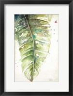 Watercolor Plantain Leaves I Framed Print