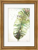 Watercolor Plantain Leaves II Fine Art Print