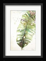Watercolor Plantain Leaves II Framed Print